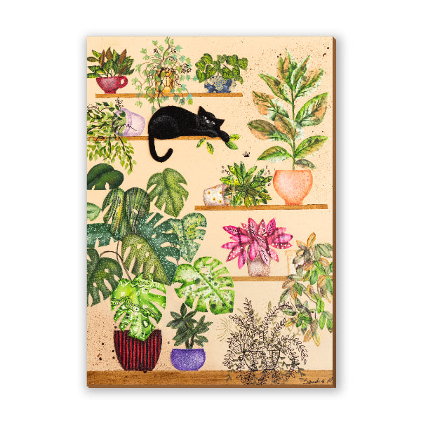 Gato e Suculentas
