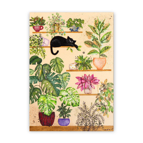 Gato e Suculentas