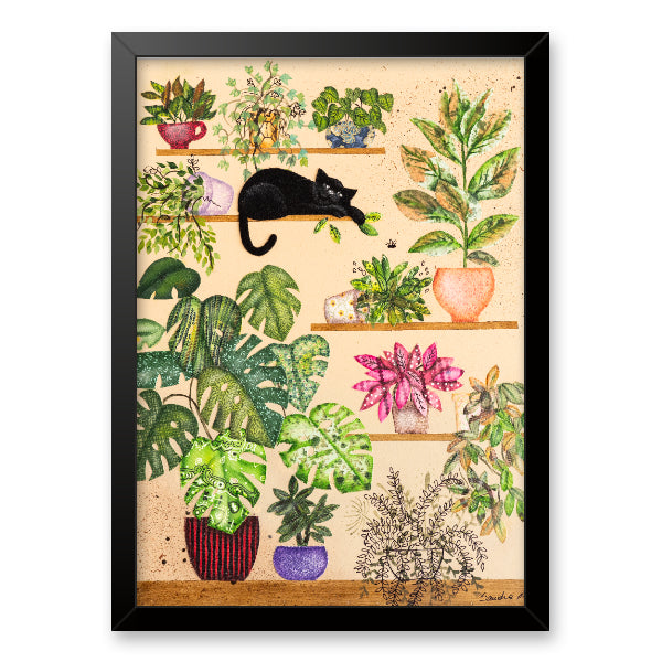 Gato e Suculentas