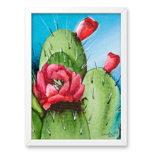 Cactus Flor Vermelha