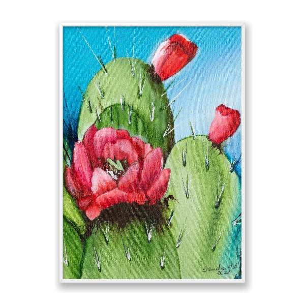 Cactus Flor Vermelha