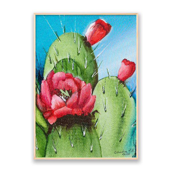 Cactus Flor Vermelha